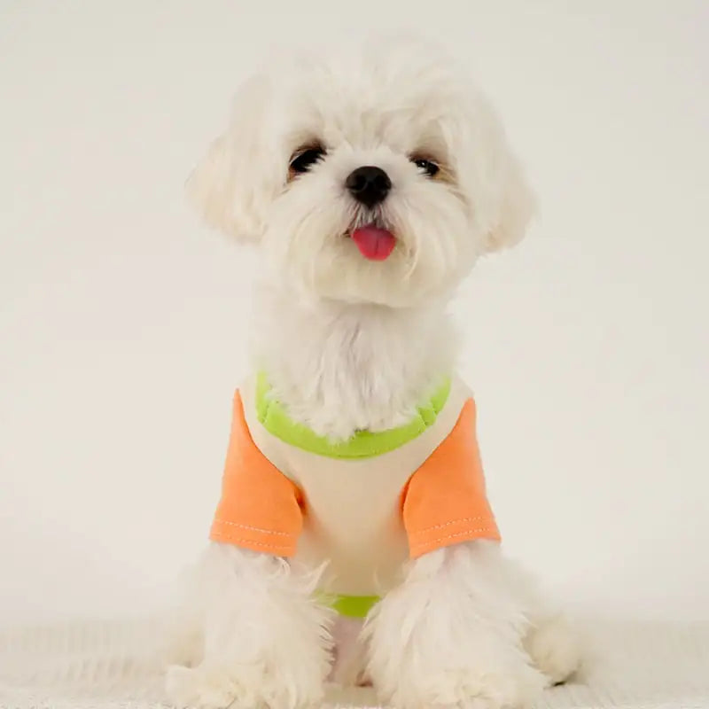 Puppy Dog Color Clash Home Wear Bottom Shirt