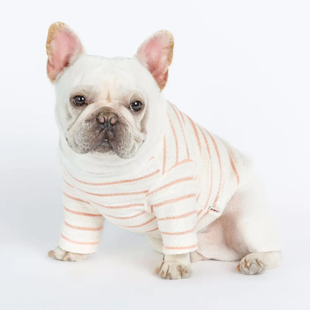Dog Clothes for Small Breeds - Embroidered T-Shirt