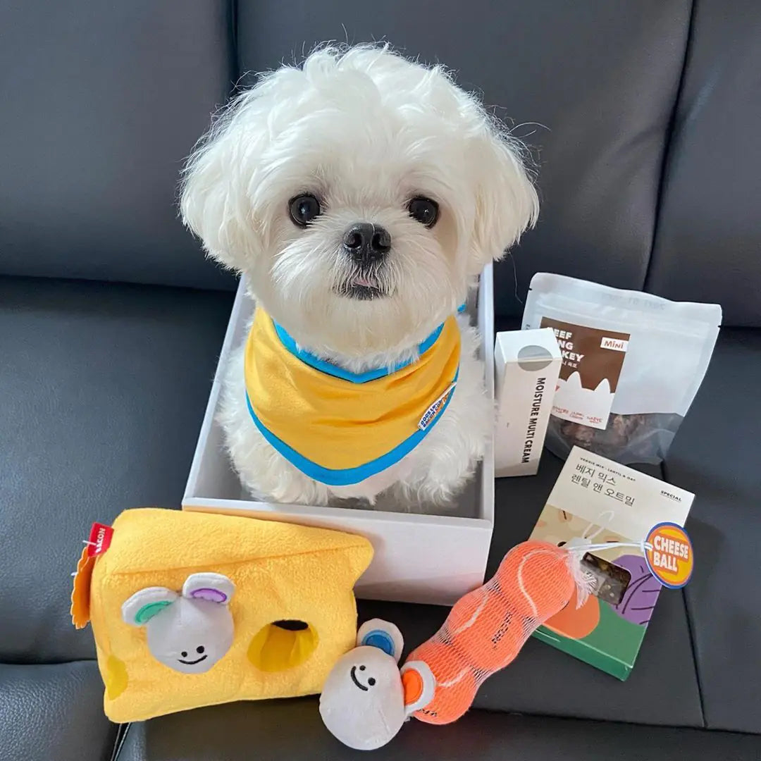 New Cheese Mouse BB Call Sound Toy